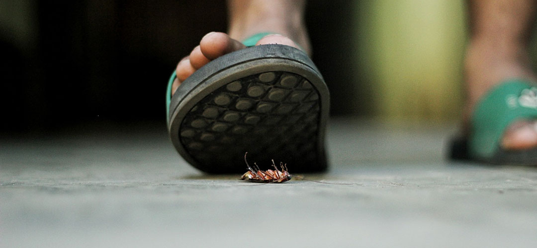 הדברת תיקנים