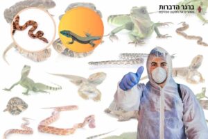 הדברת זוחלים