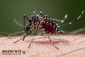 יתוש הנמר האסייתי