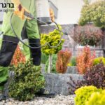 הדברה ירוקה בכפר סבא: המדריך המלא לפתרונות בטוחים ויעילים למשפחות אקולוגיות הדברה ירוקה בכפר סבא